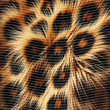 20oz integrate-EJ-6595